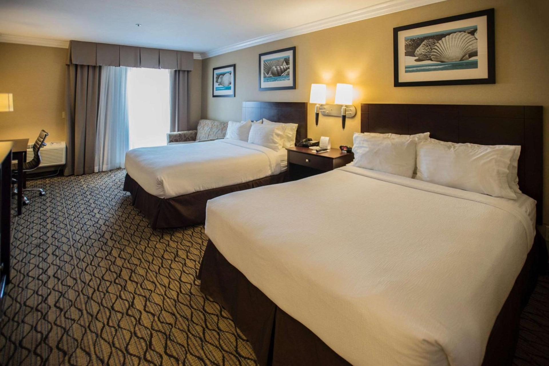 The Volare, an Ascend Collection Hotel photo 13