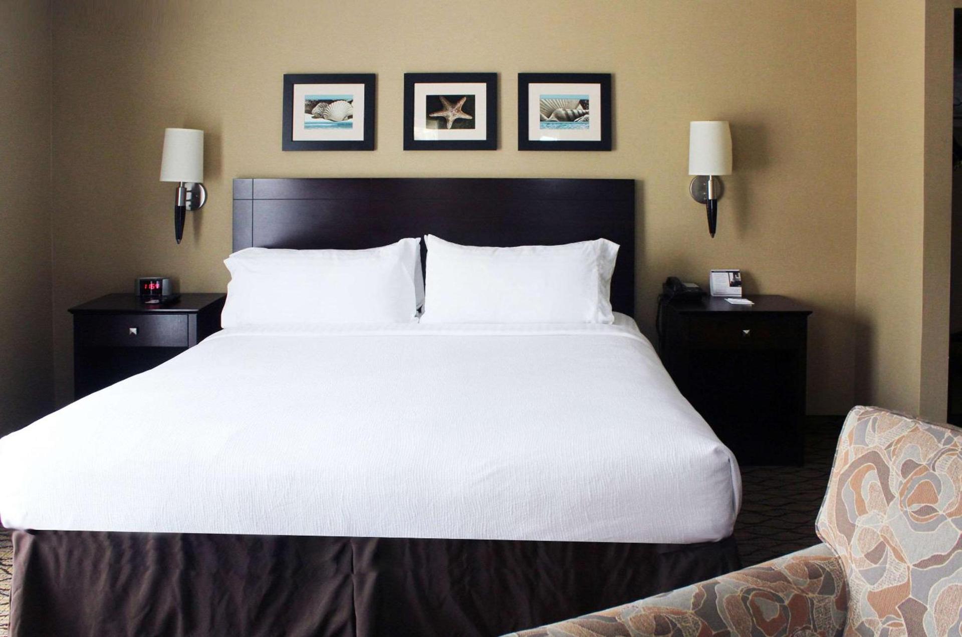 The Volare, an Ascend Collection Hotel photo 40