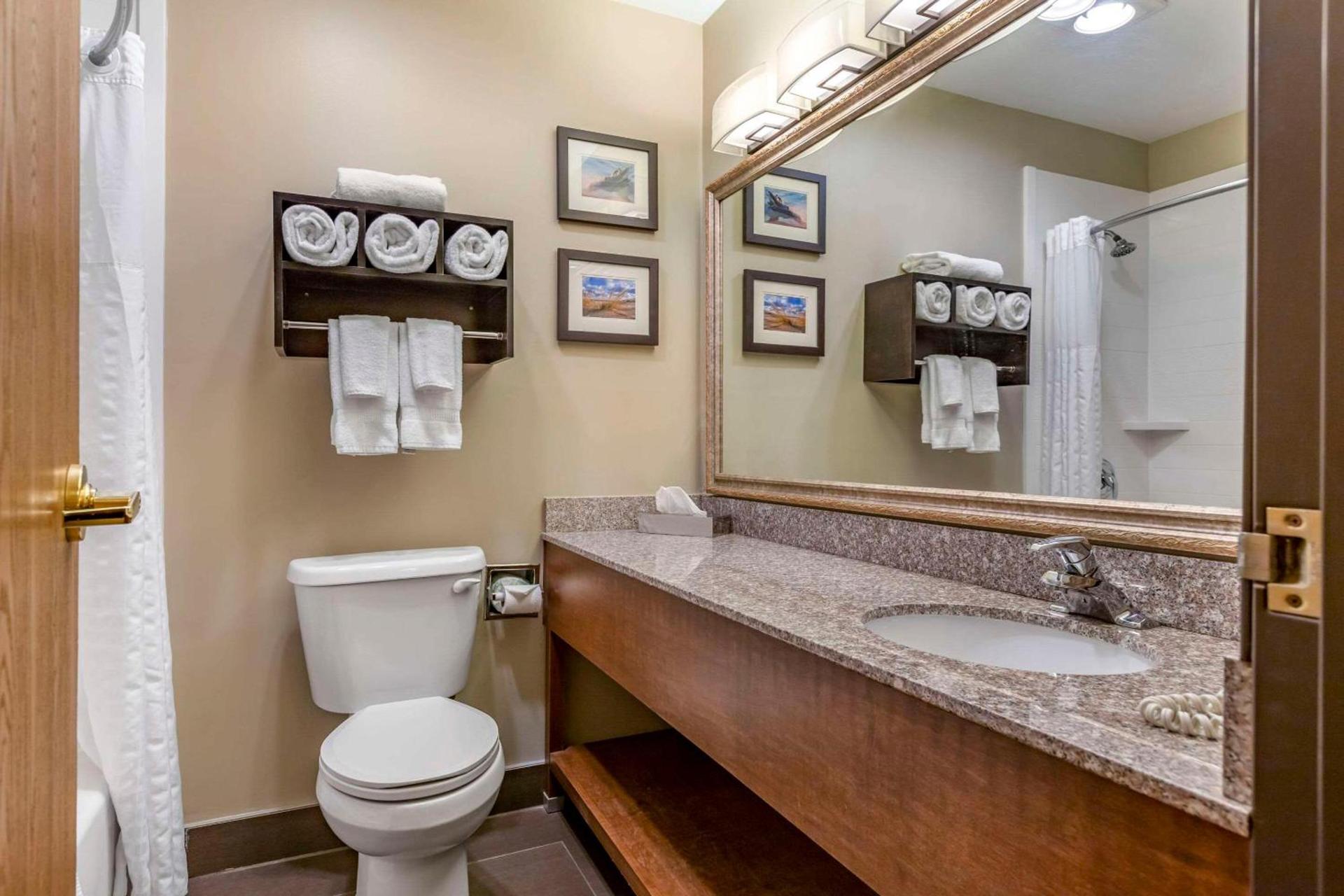 Comfort Inn & Suites Ludington near US-10 photo 18