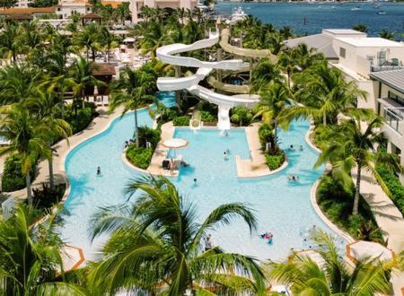 Beach Club at The Boca Raton photo 39