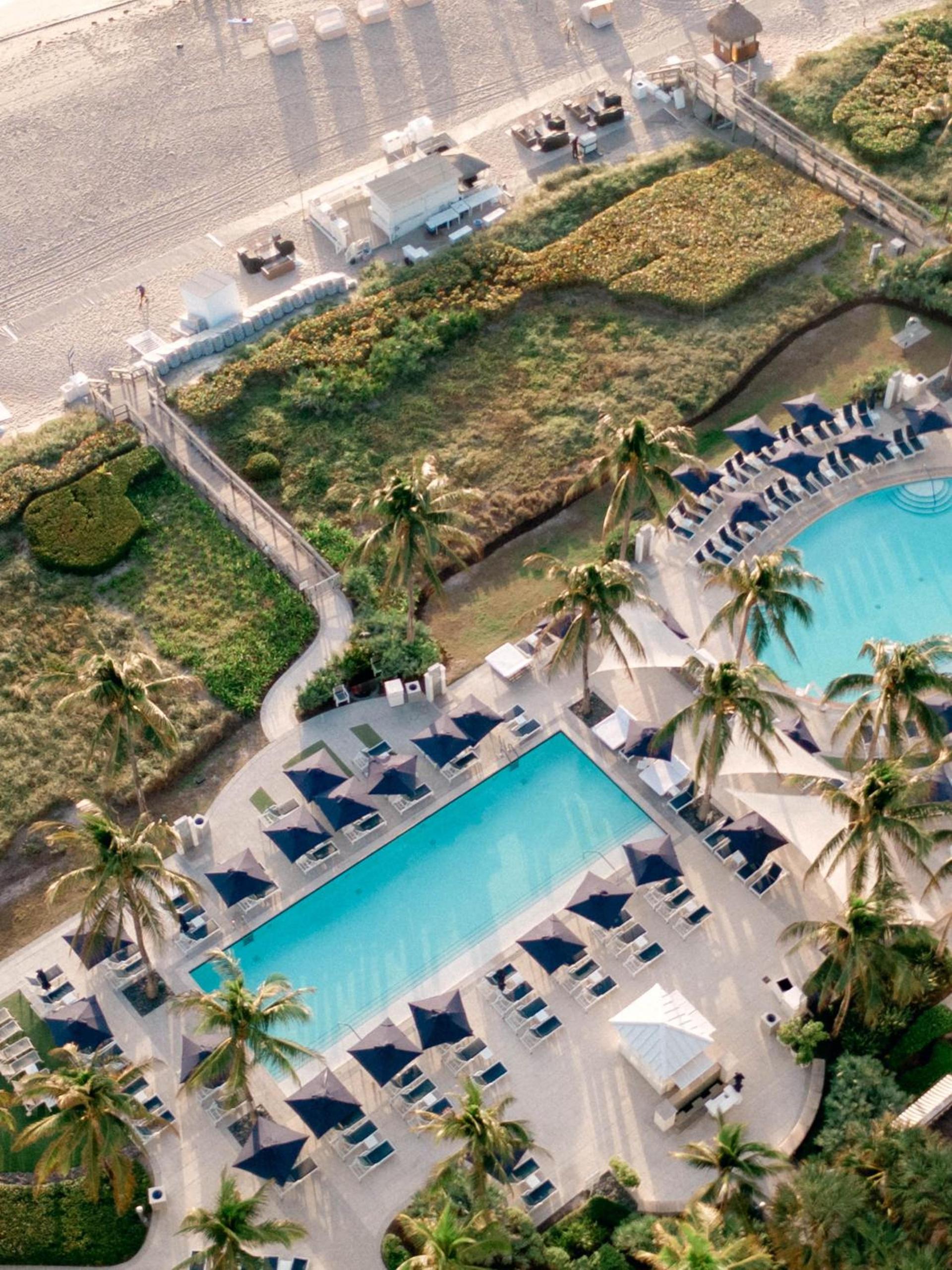 Beach Club at The Boca Raton photo 33