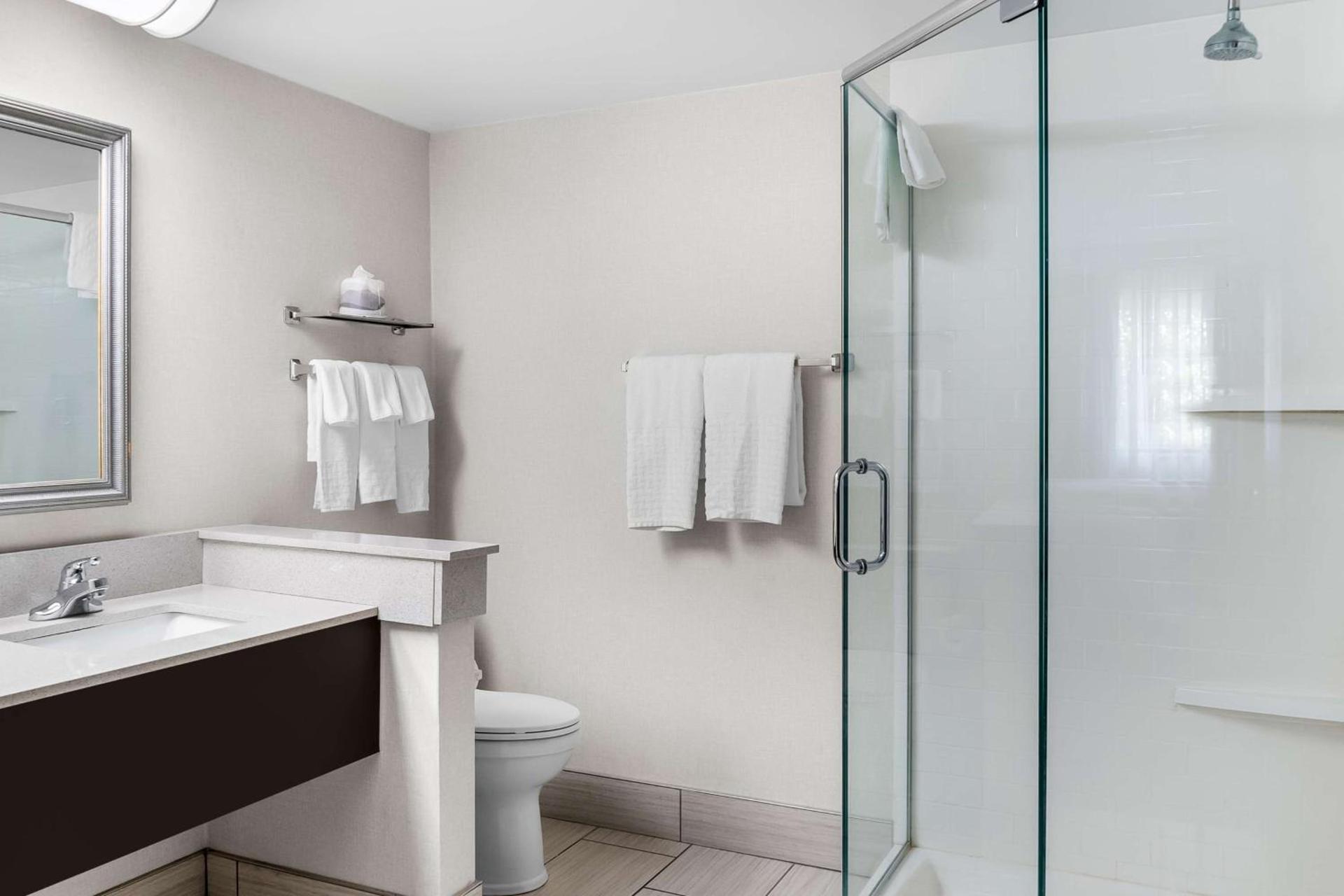 Best Western Okemos/East Lansing Hotel & Suites photo 17