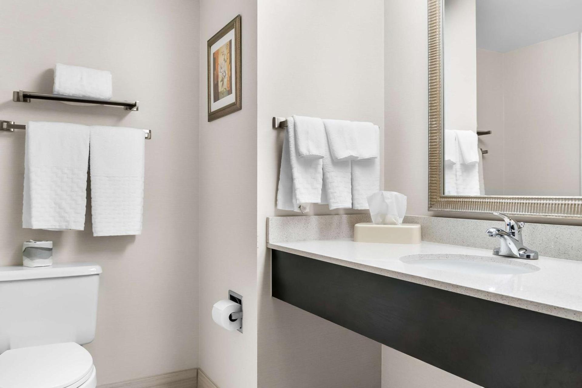 Best Western Okemos/East Lansing Hotel & Suites photo 27