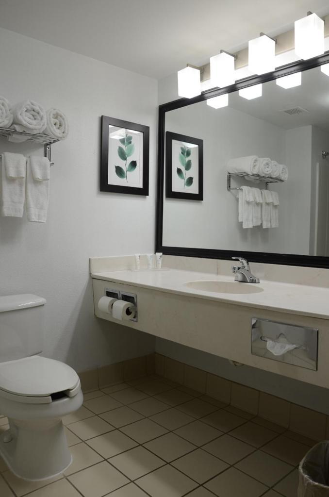 Country Inn & Suites by Radisson, Jacksonville - Orange Park photo 43