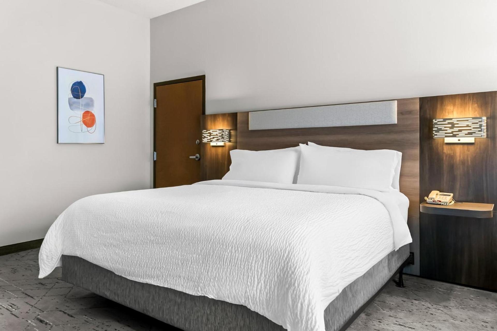 Holiday Inn Express & Suites Detroit - Novi by IHG photo 21