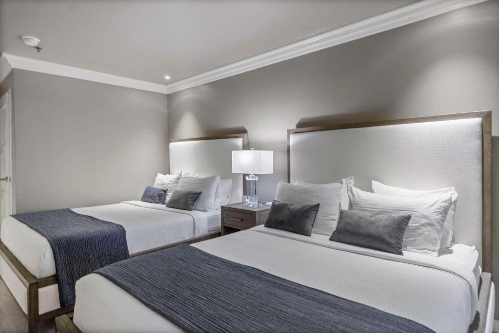 The Volare, an Ascend Collection Hotel photo 23