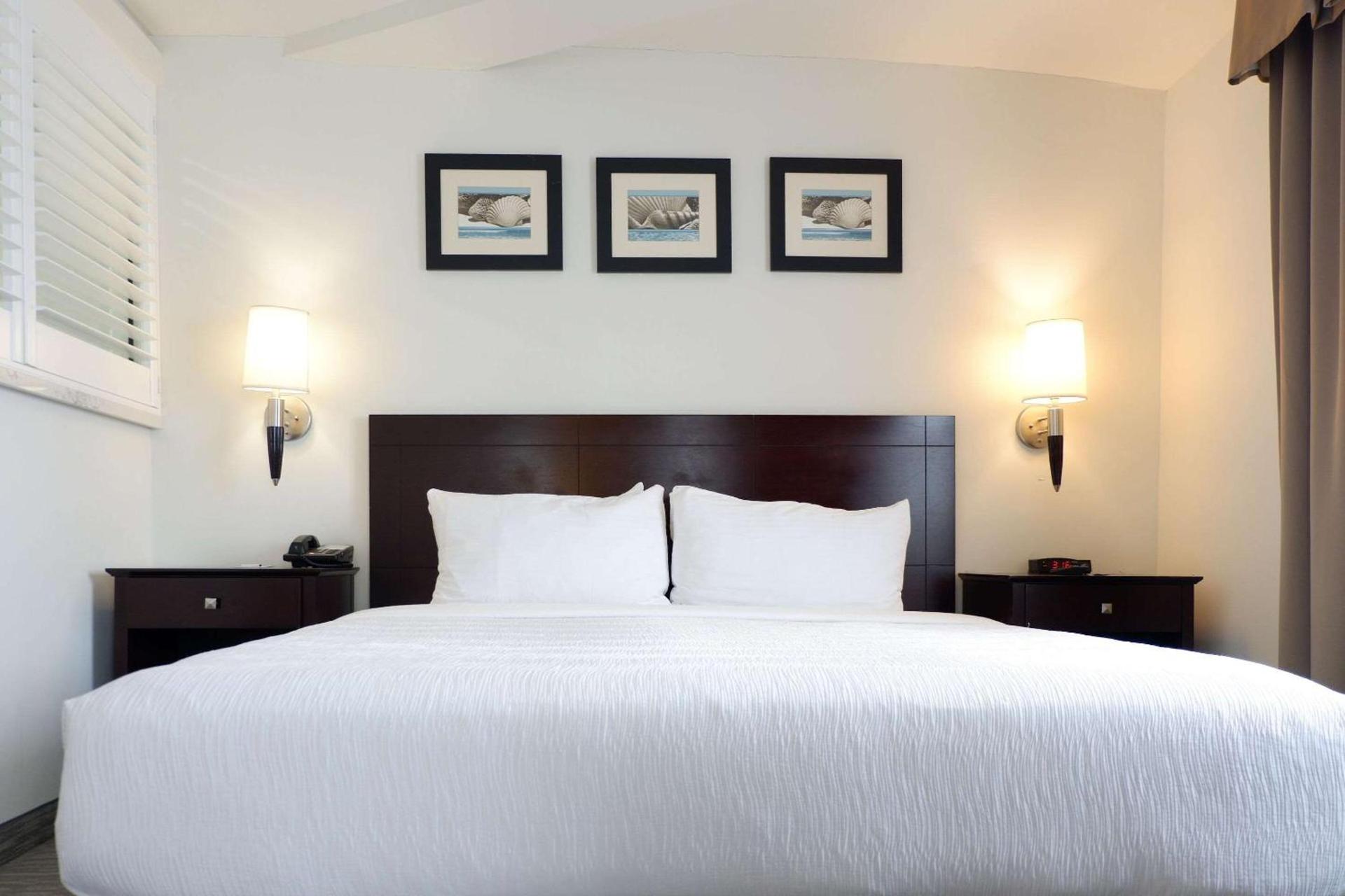 The Volare, an Ascend Collection Hotel photo 28