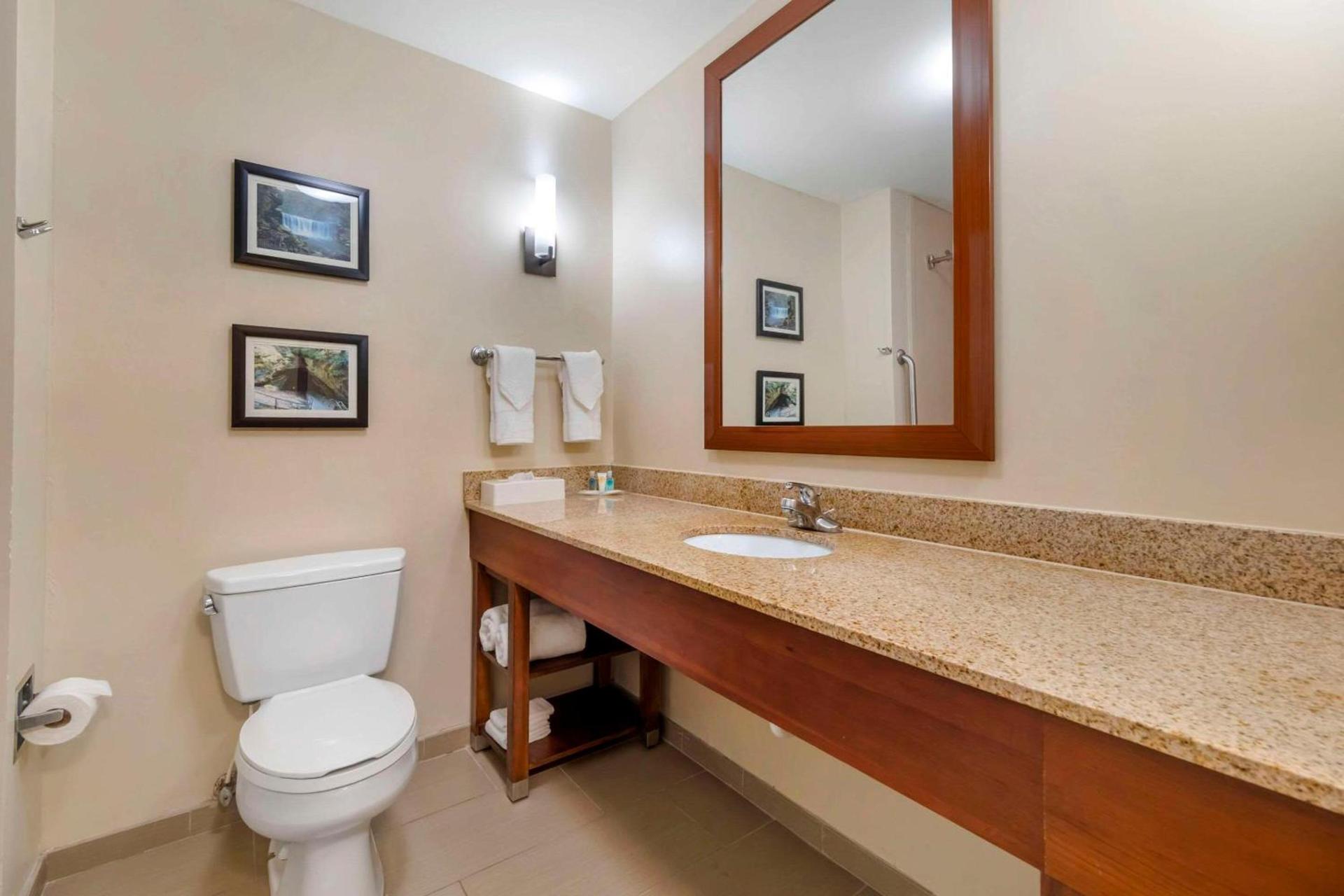 Comfort Suites Elizabethtown photo 9