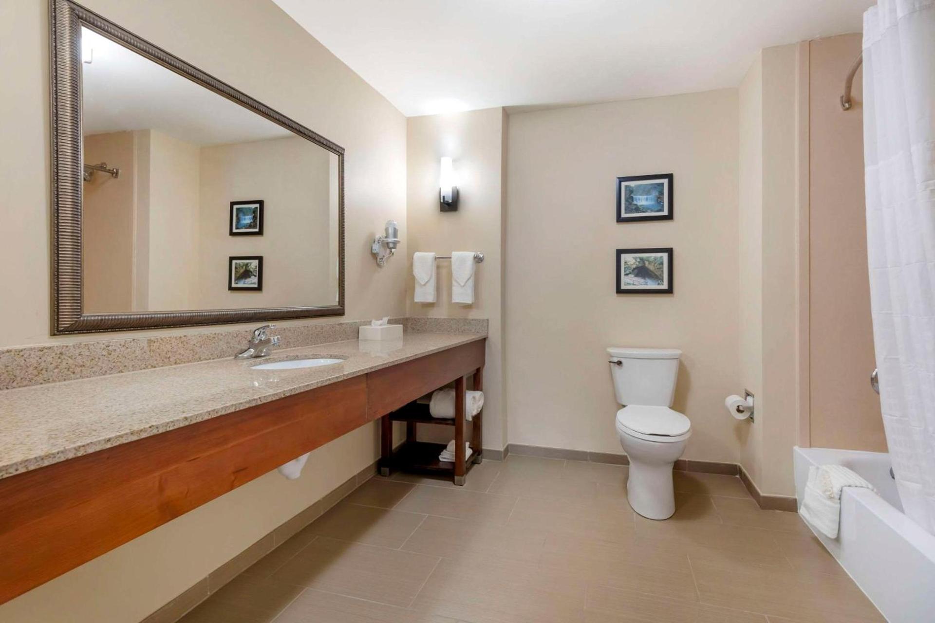 Comfort Suites Elizabethtown photo 10