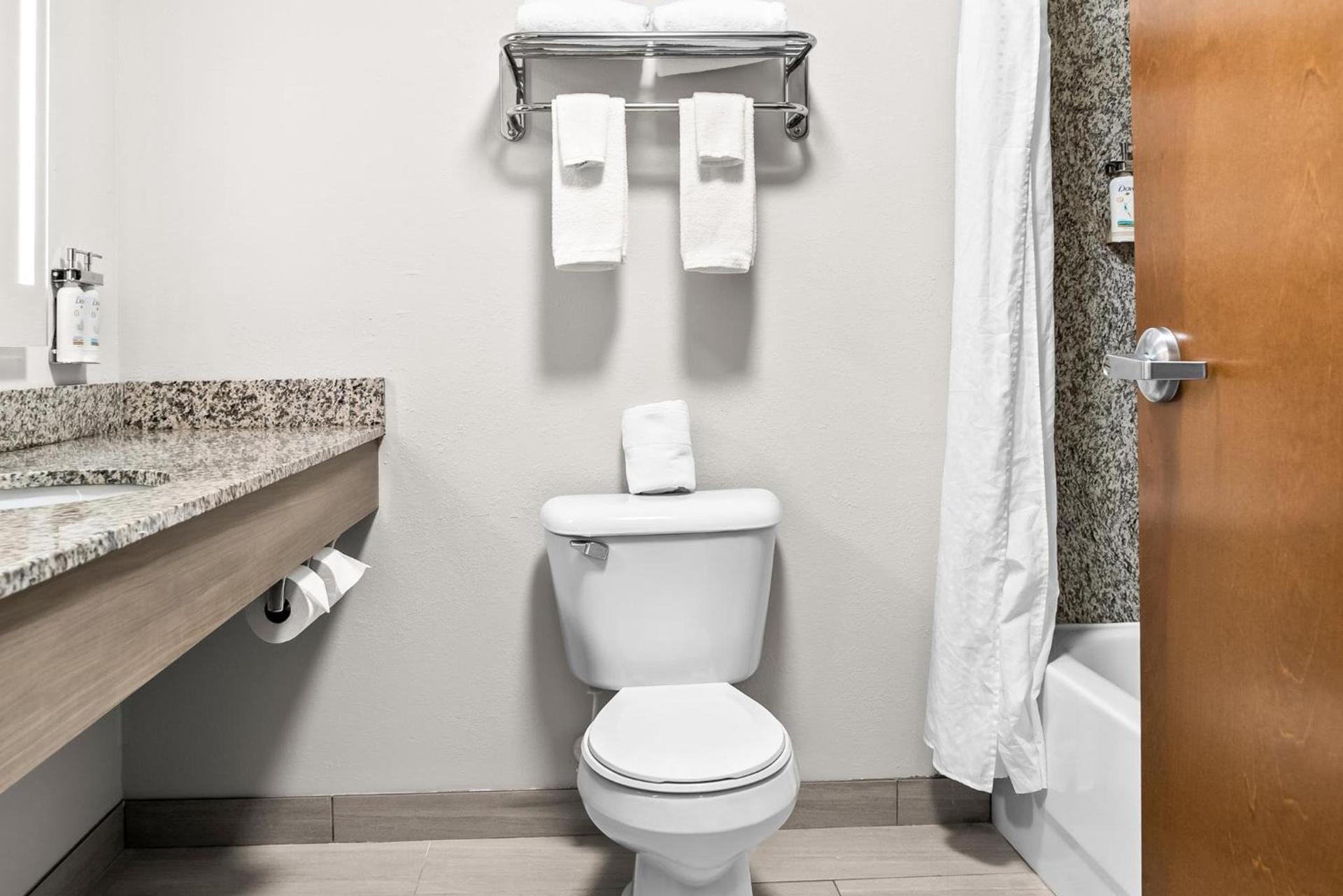 Holiday Inn Express & Suites Detroit - Novi by IHG photo 35