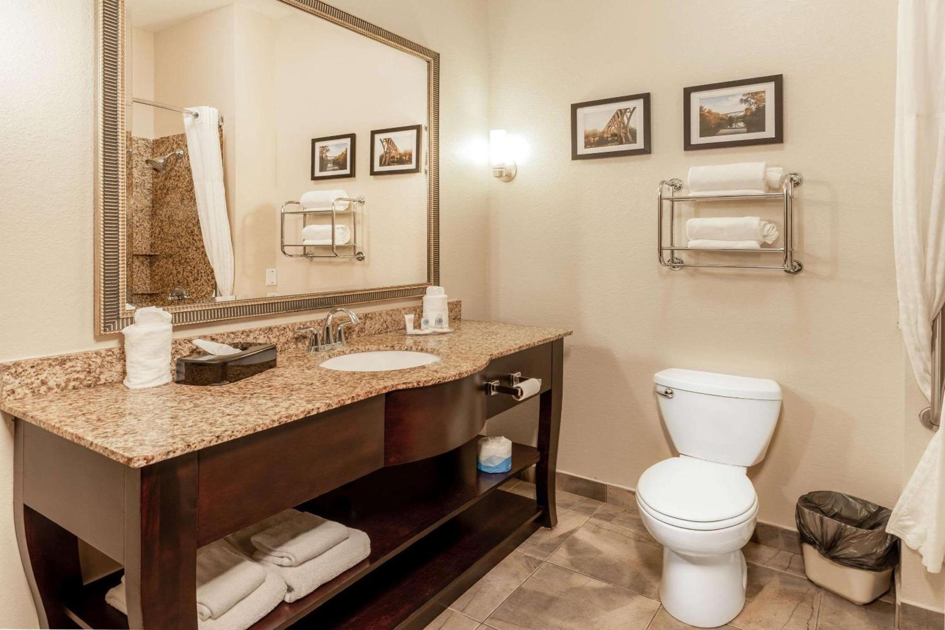 Comfort Suites Troy-I75 photo 19