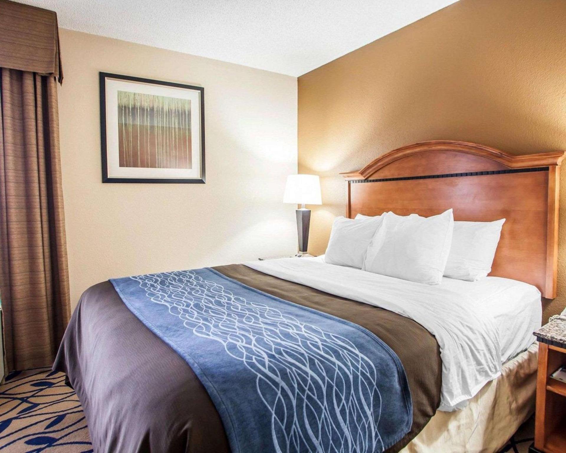 Comfort Inn Bourbonnais near I-57 photo 21
