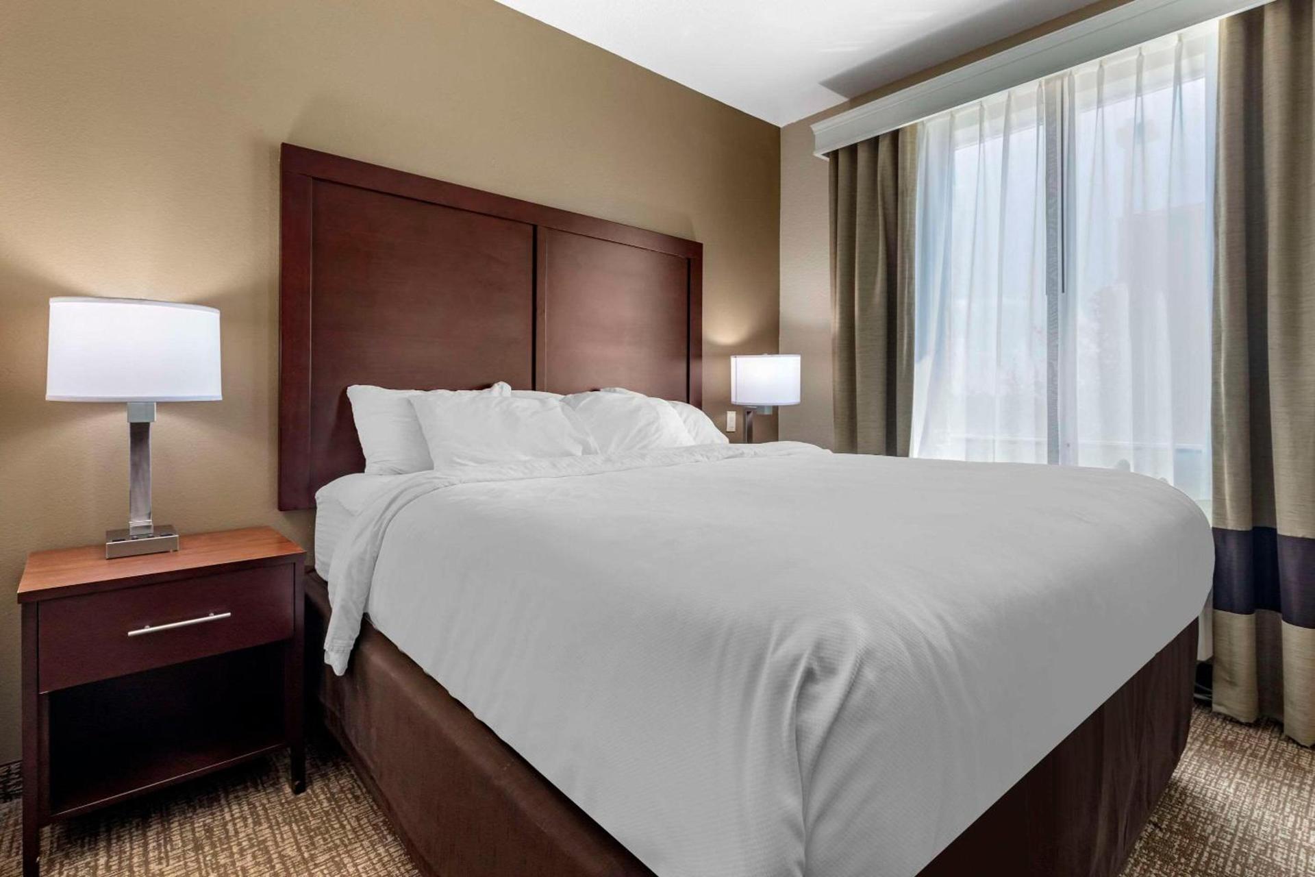 Comfort Suites Plano - Dallas North photo 6