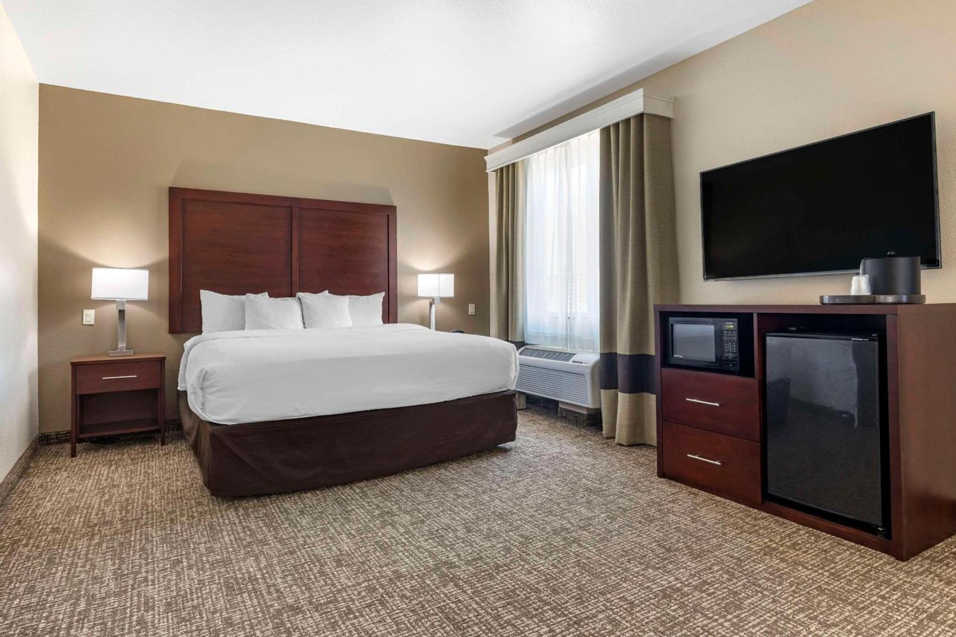 Comfort Suites Plano - Dallas North photo 4