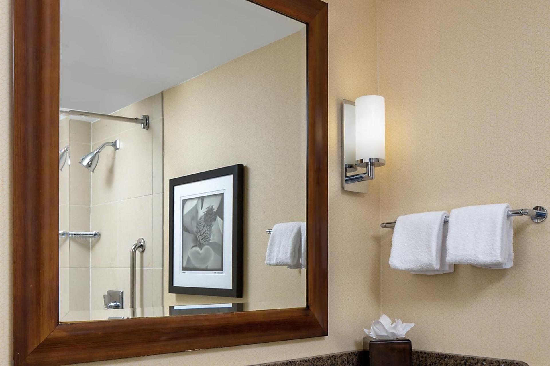 Wyndham Atlanta Buckhead Hotel & Conference Center photo 26