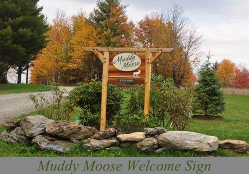 Muddy Moose photo 3