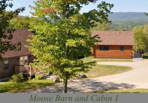 Muddy Moose photo 47