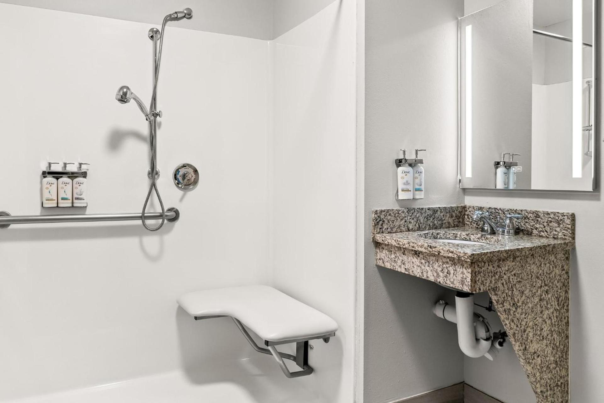 Holiday Inn Express & Suites Detroit - Novi by IHG photo 41