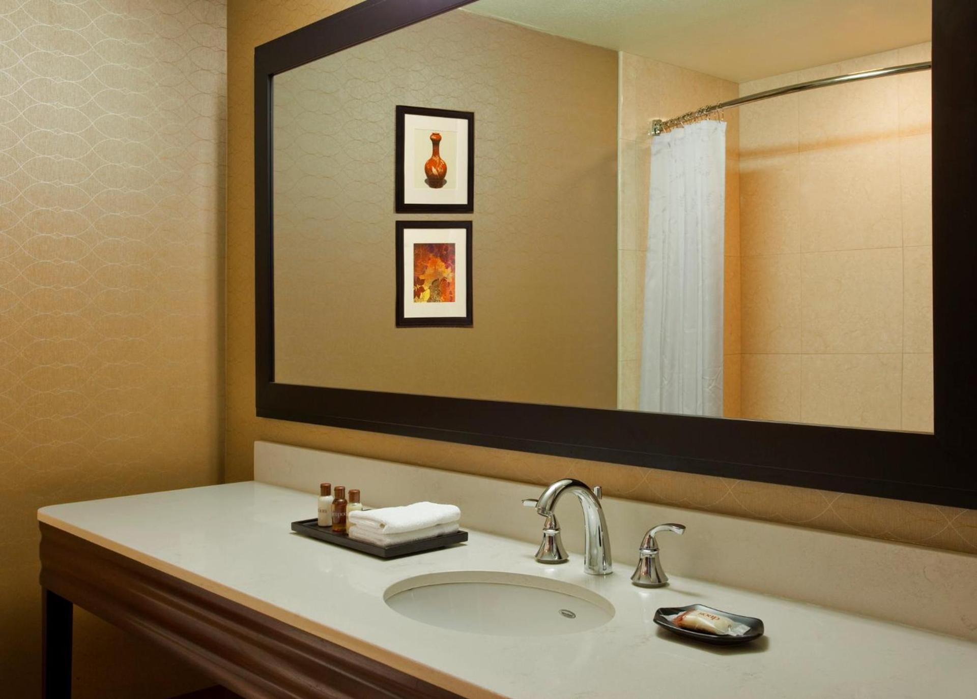 Sheraton Sioux Falls Hotel & Convention Center photo 34