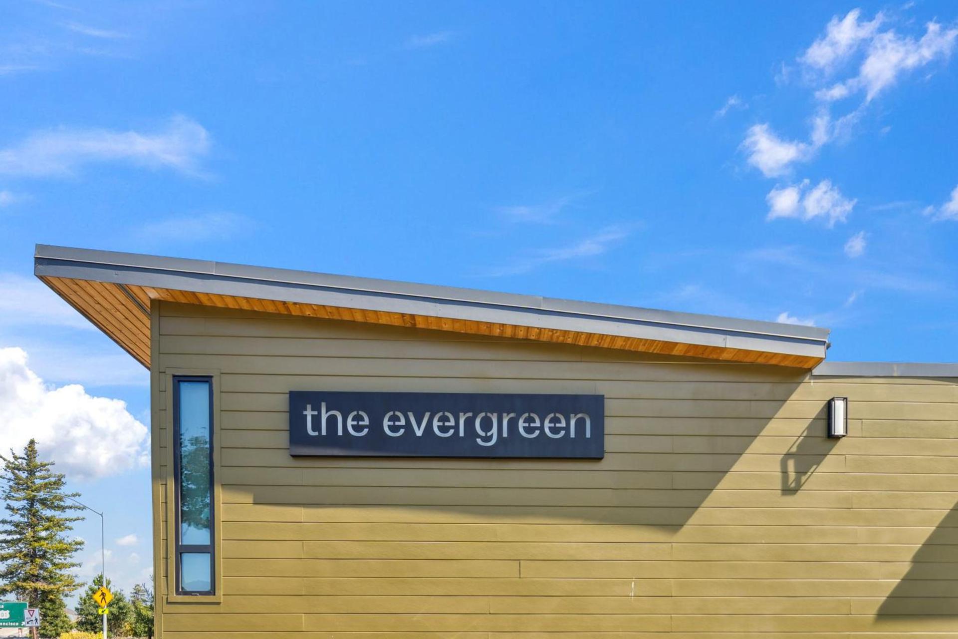 The Evergreen photo 9