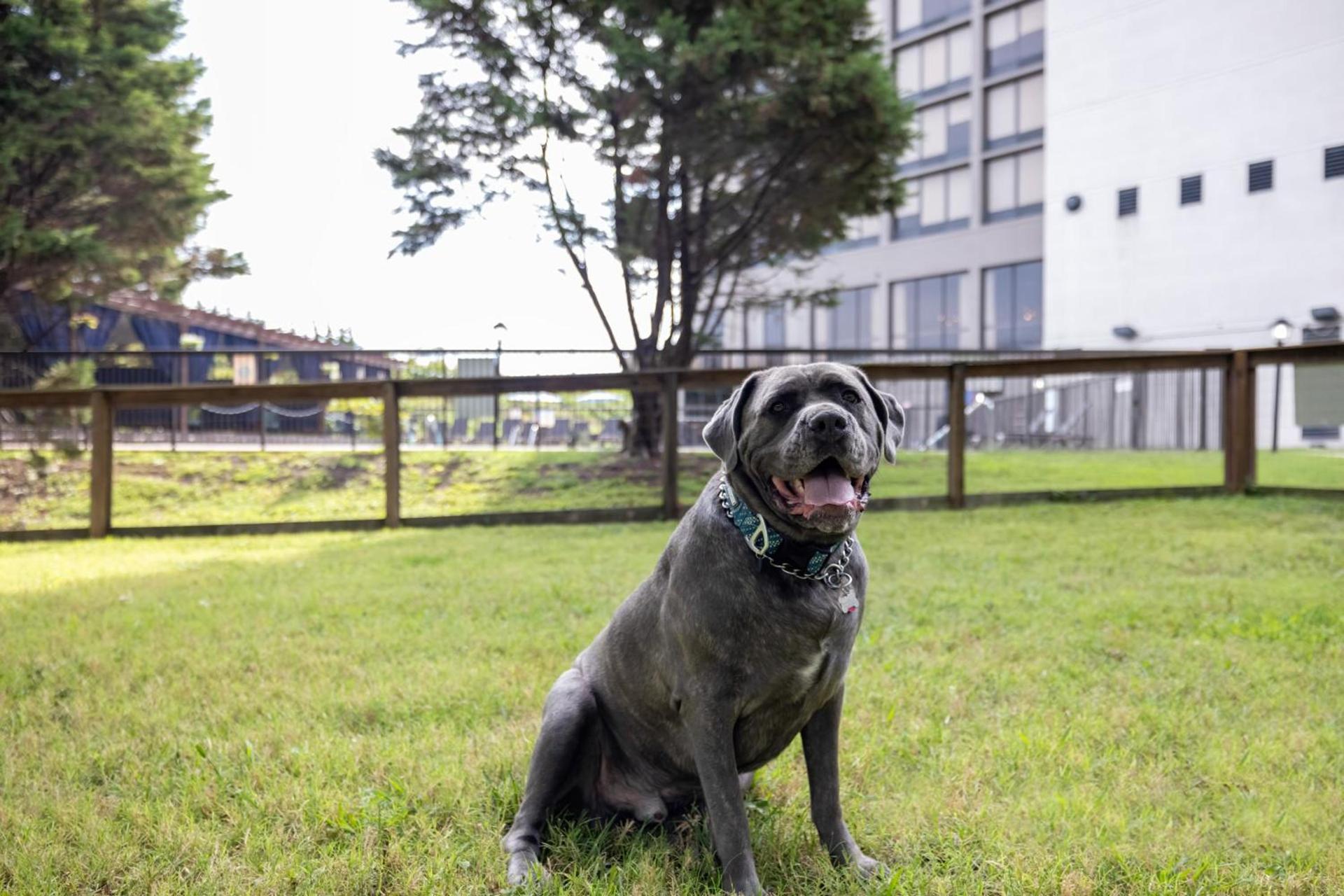 Delta Hotels by Marriott Nashville Airport photo 18