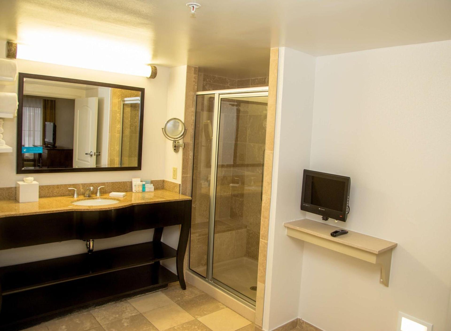 Hampton Inn & Suites Albany-Downtown photo 28