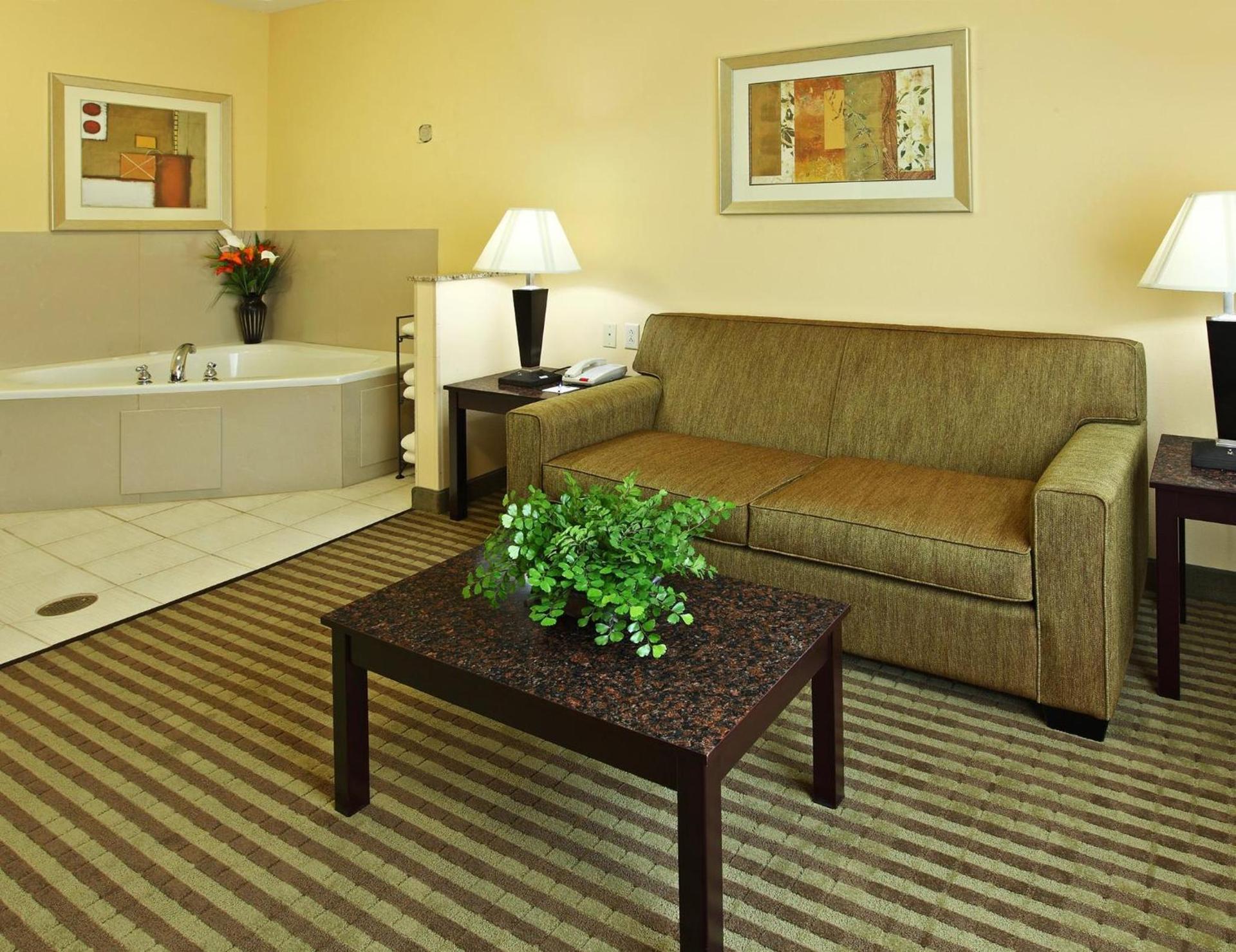 Holiday Inn Express Hotel & Suites Carthage by IHG photo 3