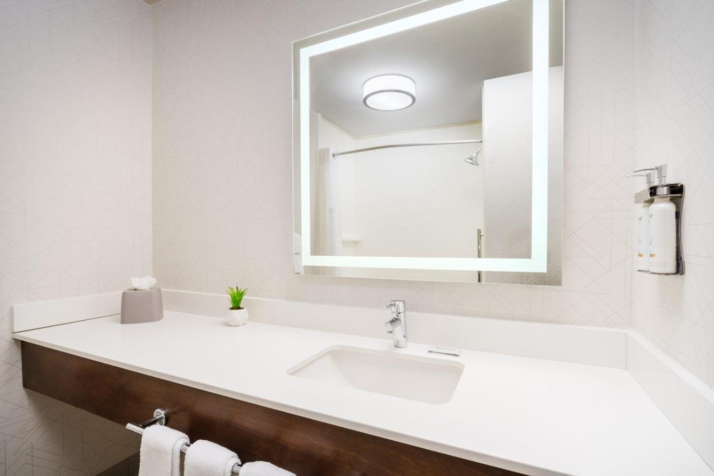 Holiday Inn Express Irondequoit by IHG photo 6
