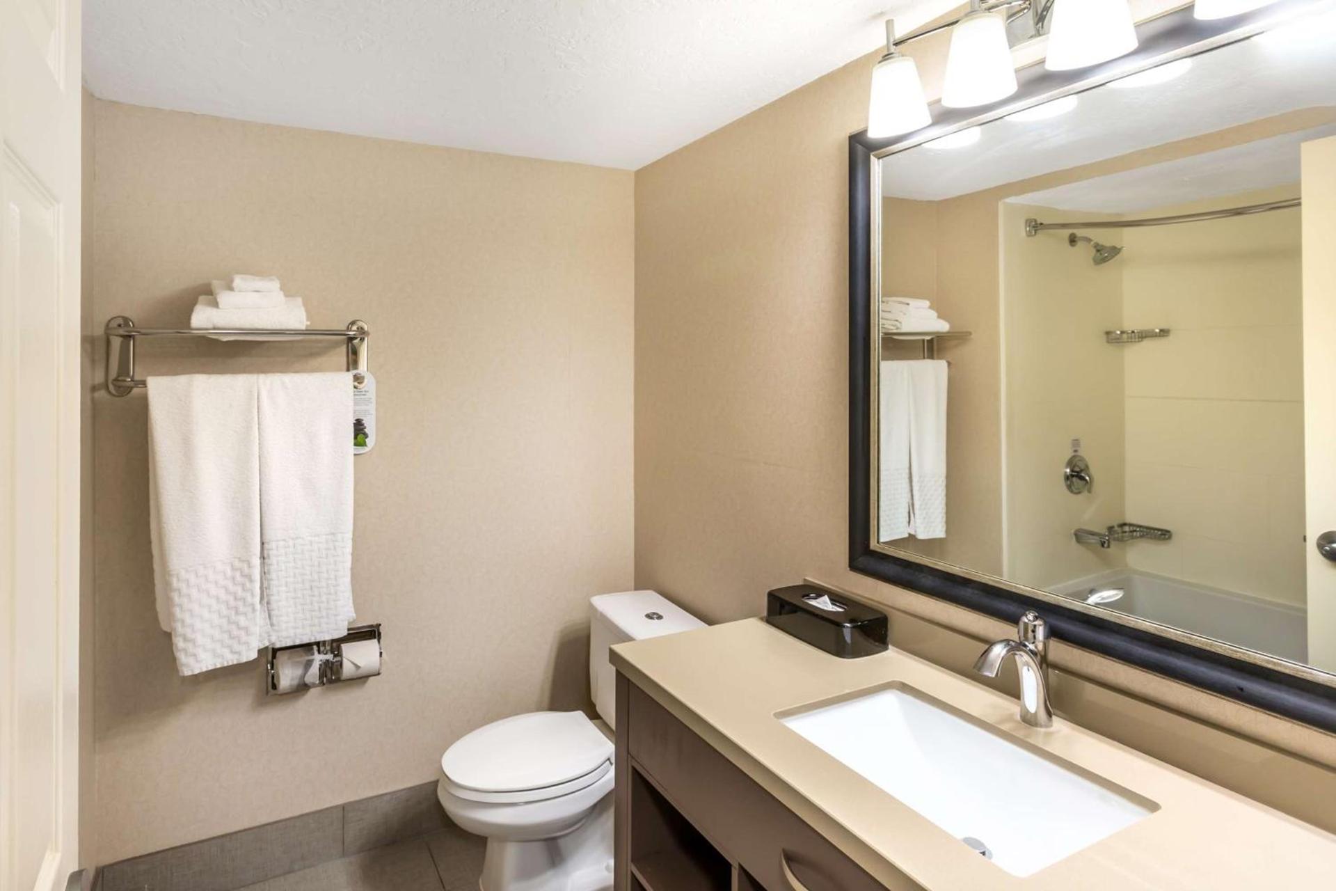 Best Western Plus Cotton Tree Inn photo 23
