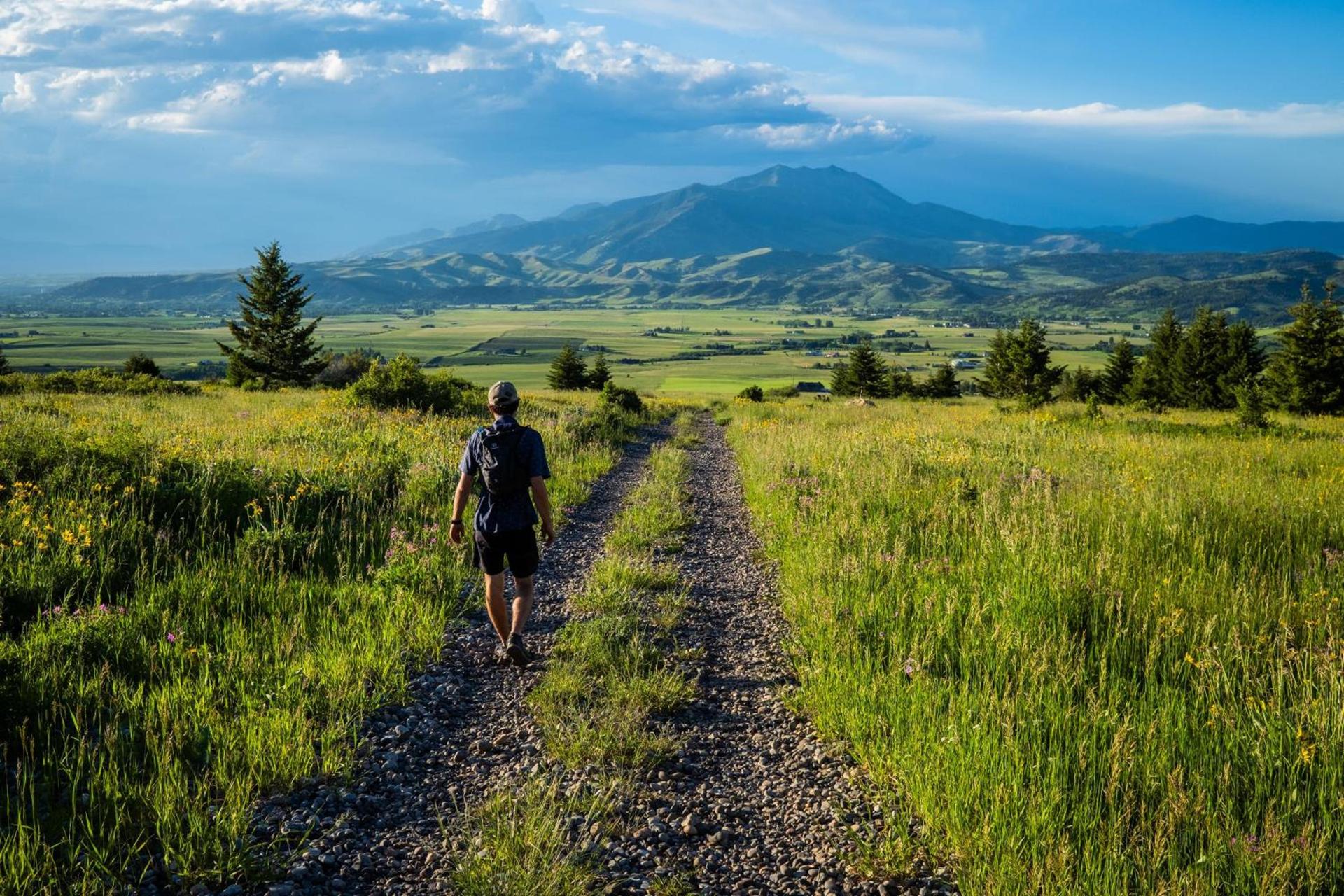Field & Stream Lodge Bozeman photo 12