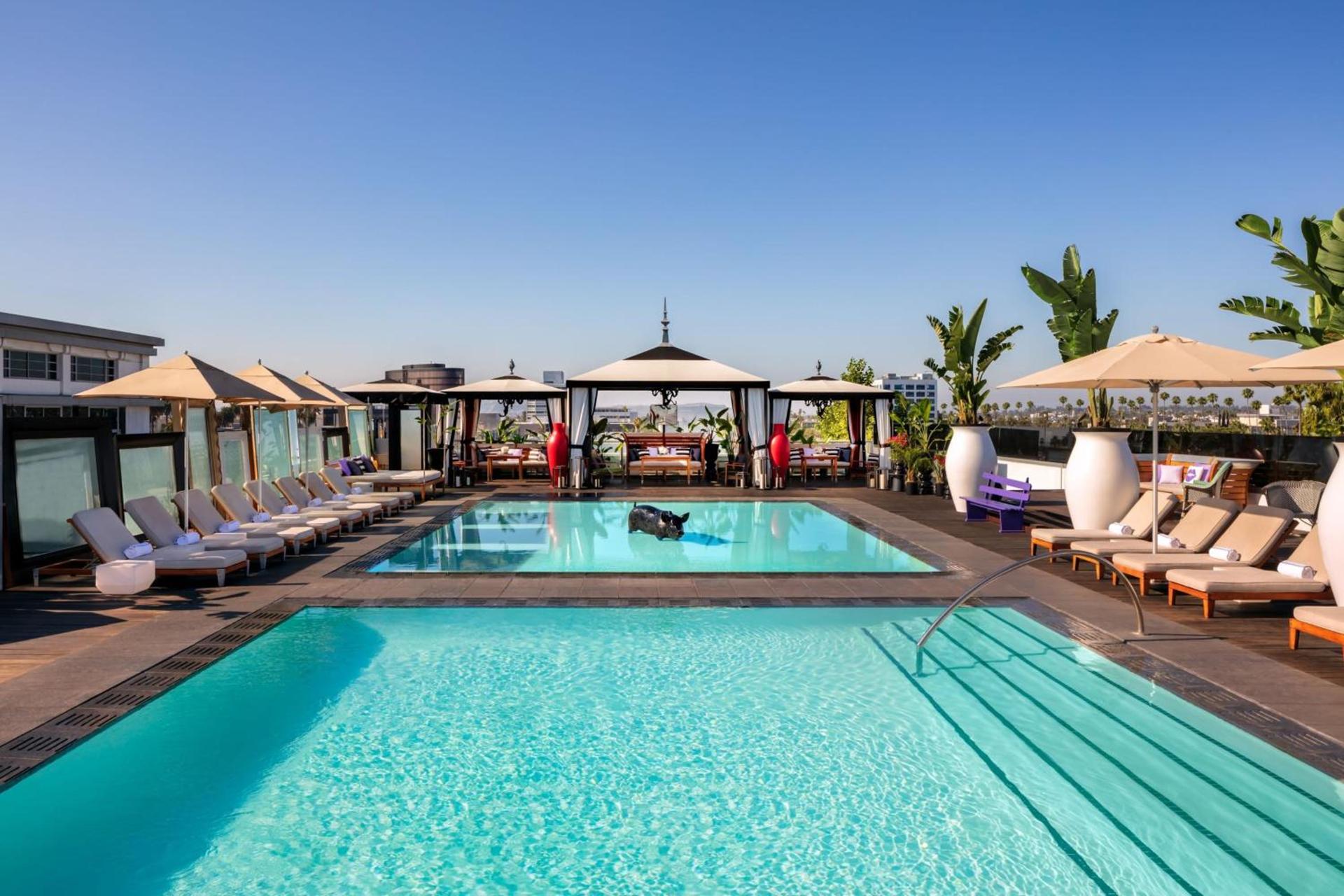 SLS Hotel, a Luxury Collection Hotel, Beverly Hills photo 80