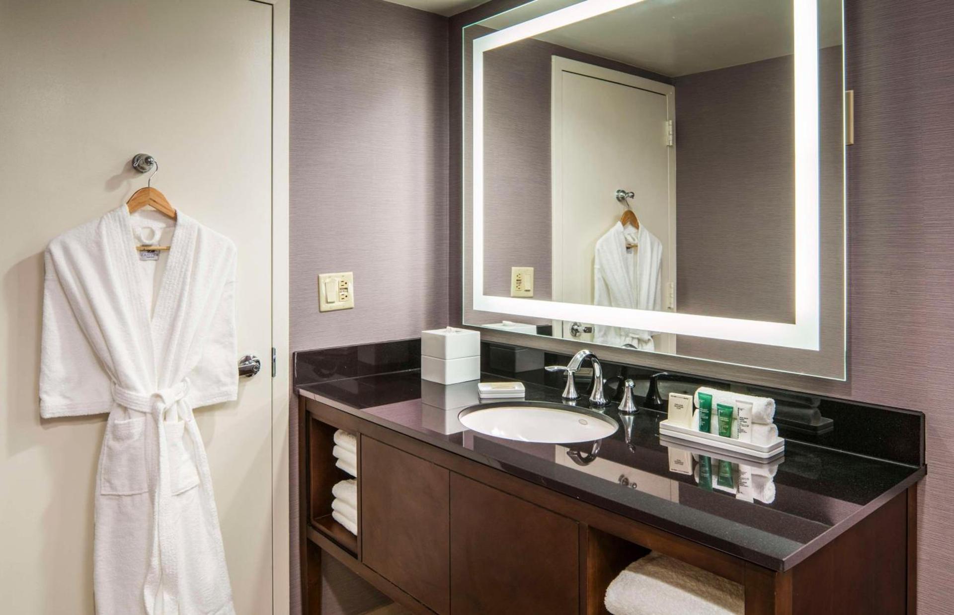 Hilton Washington DC/Rockville Hotel & Executive Meeting Center photo 27