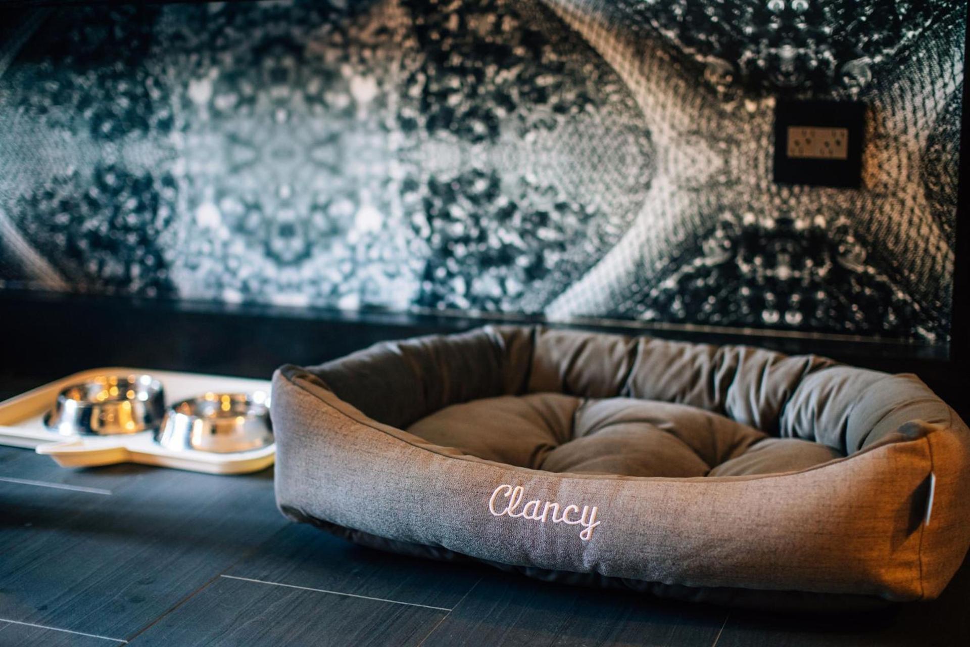 The Clancy, Autograph Collection photo 7