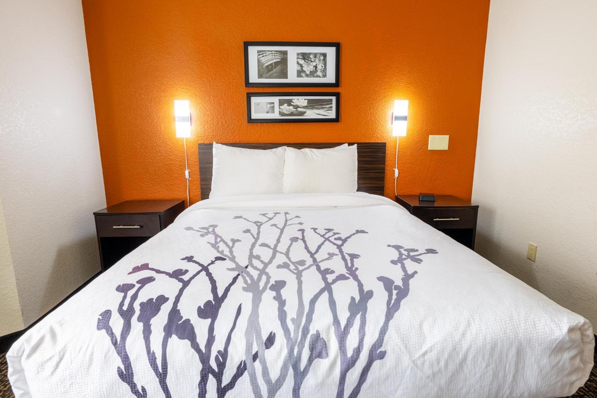 Sleep Inn Ormond Beach - Daytona photo 52