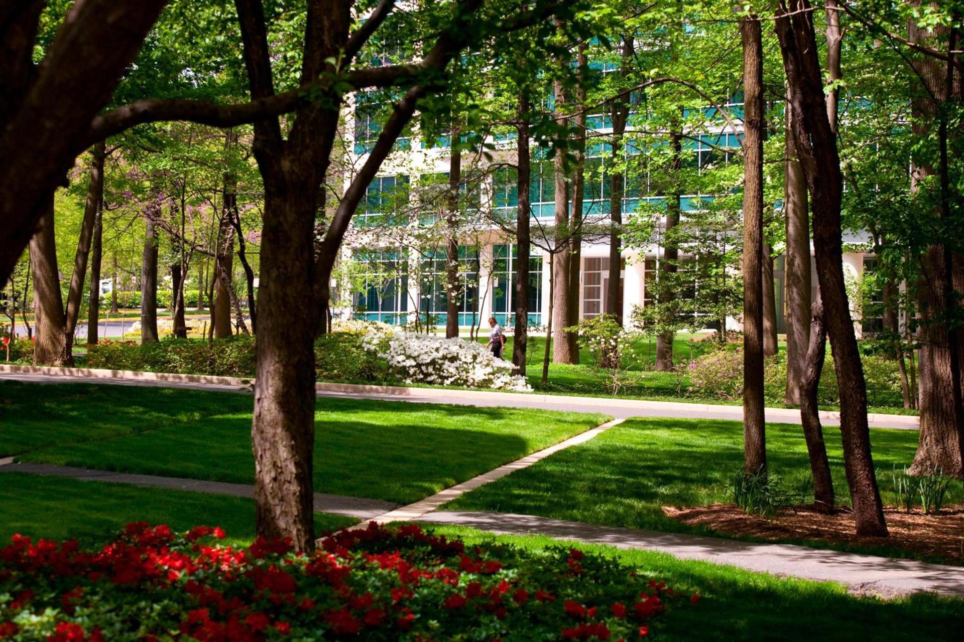 Falls Church Marriott Fairview Park photo 5