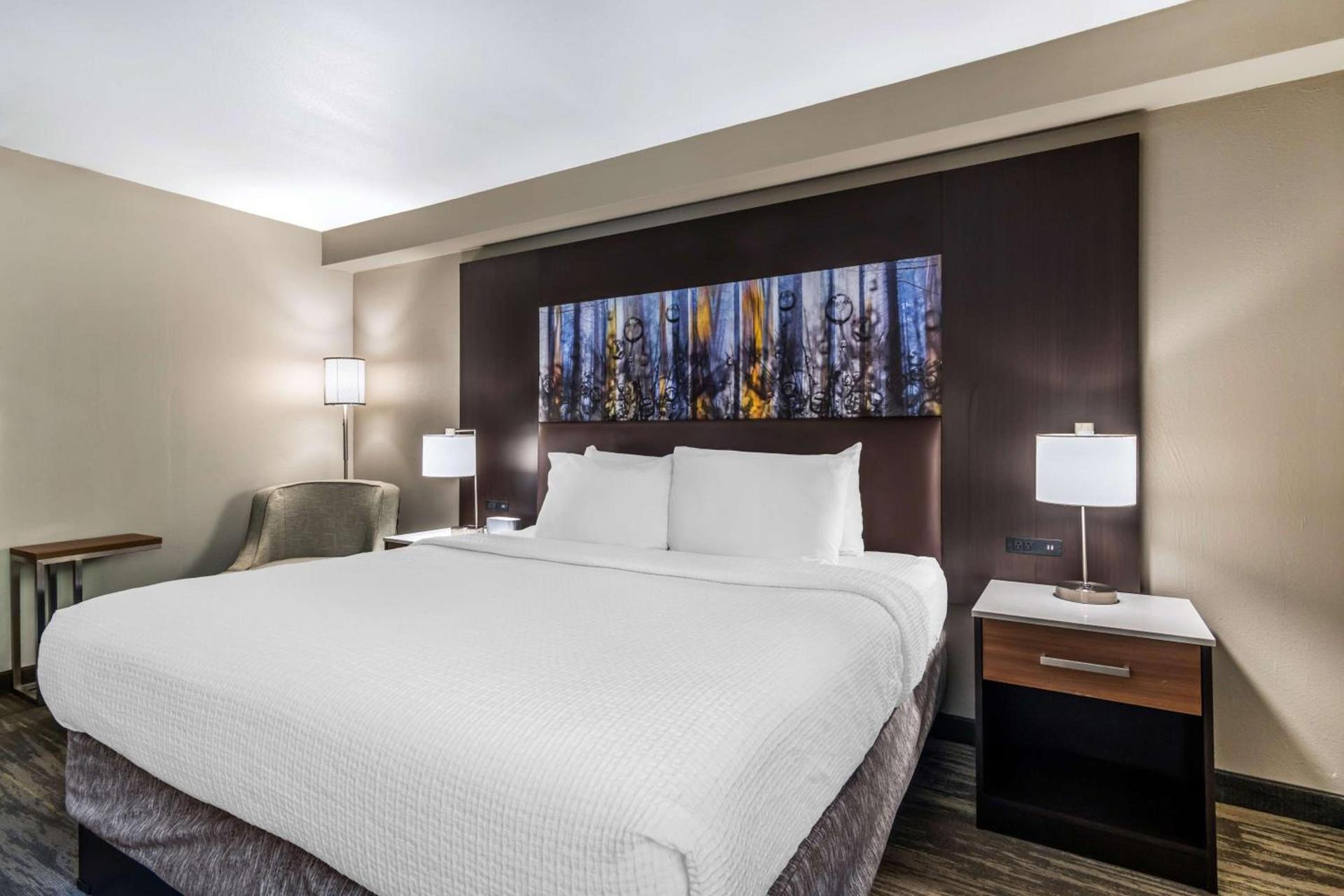 Best Western Atlanta-Marietta Ballpark Hotel photo 12