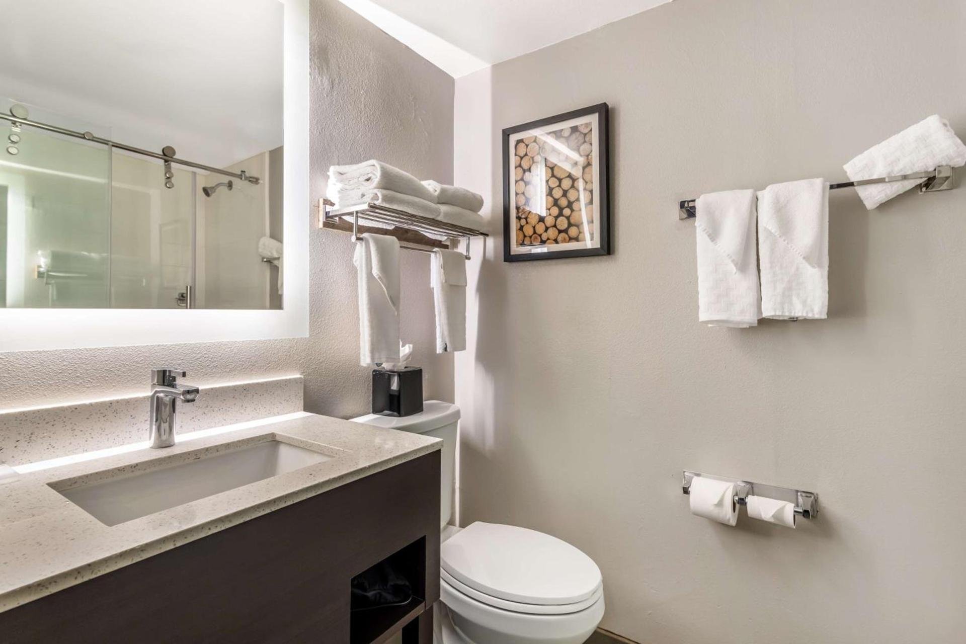 Best Western Atlanta-Marietta Ballpark Hotel photo 20