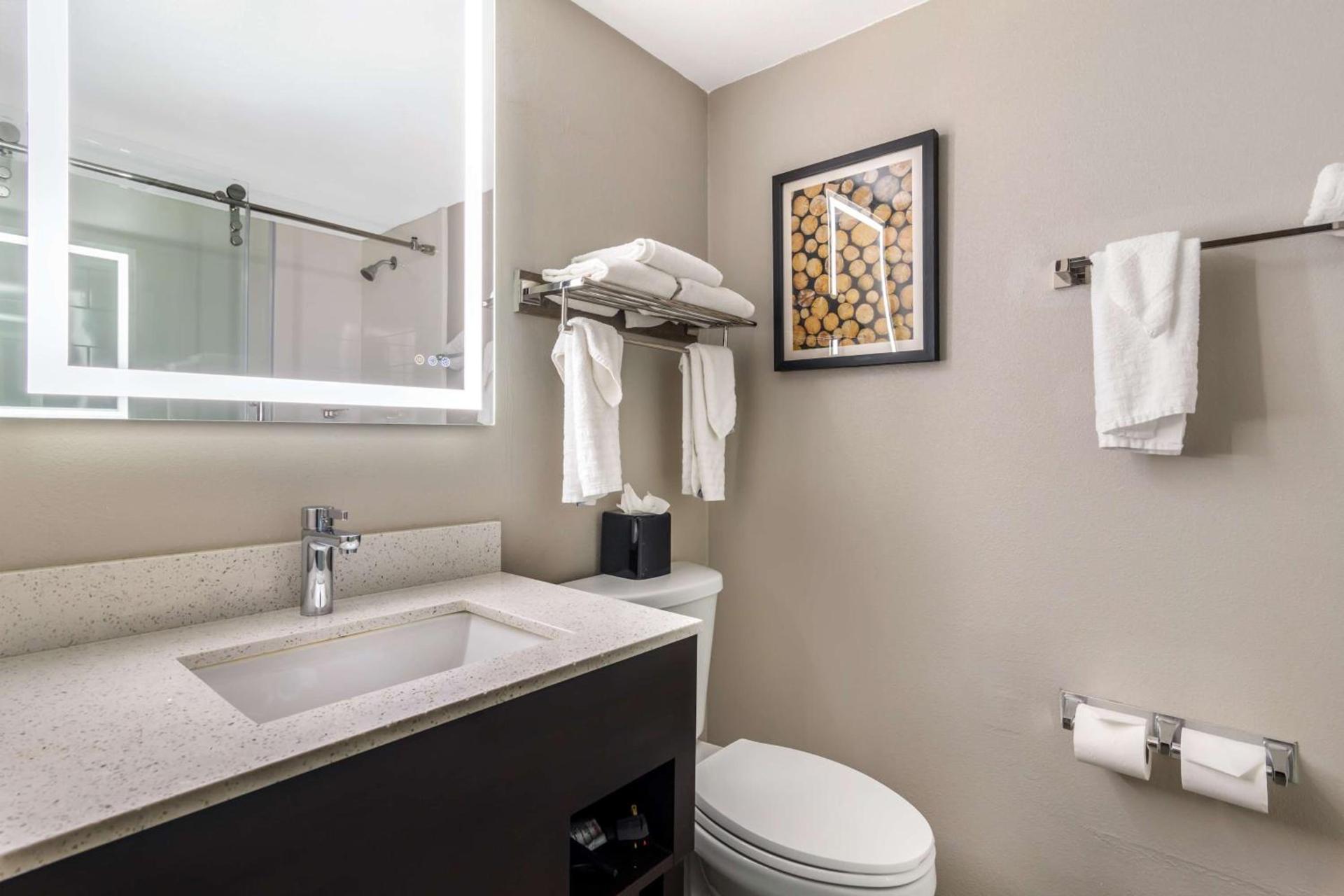 Best Western Atlanta-Marietta Ballpark Hotel photo 21
