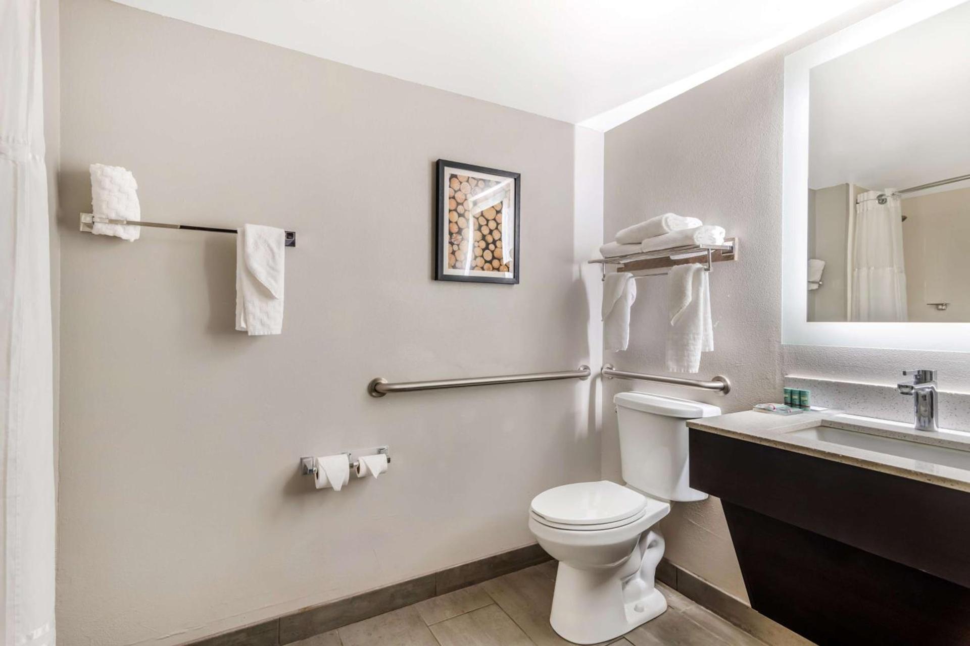 Best Western Atlanta-Marietta Ballpark Hotel photo 22
