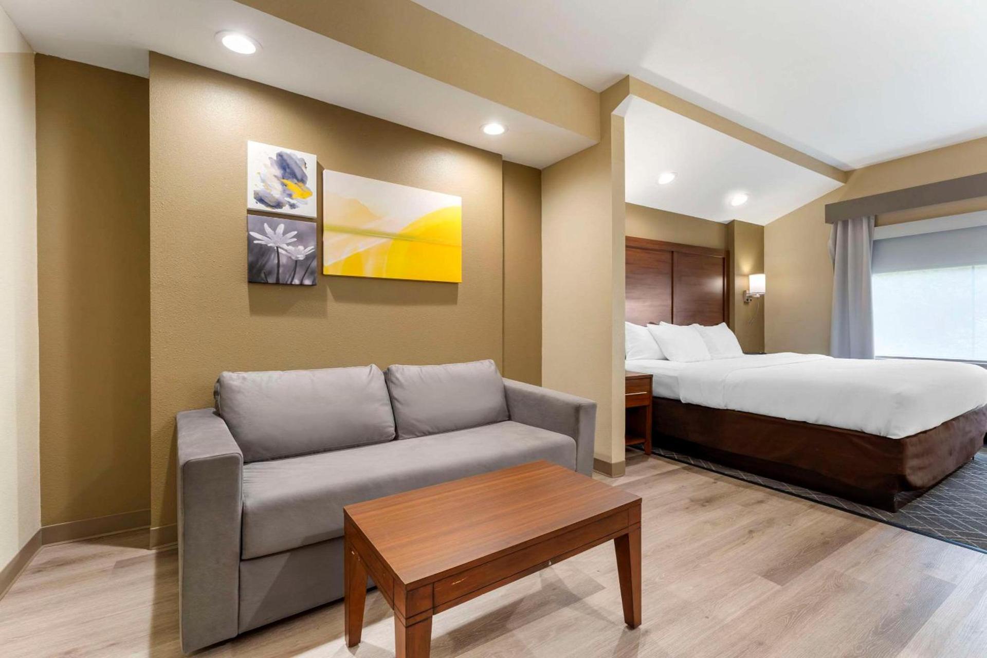 Comfort Suites Monaca photo 24