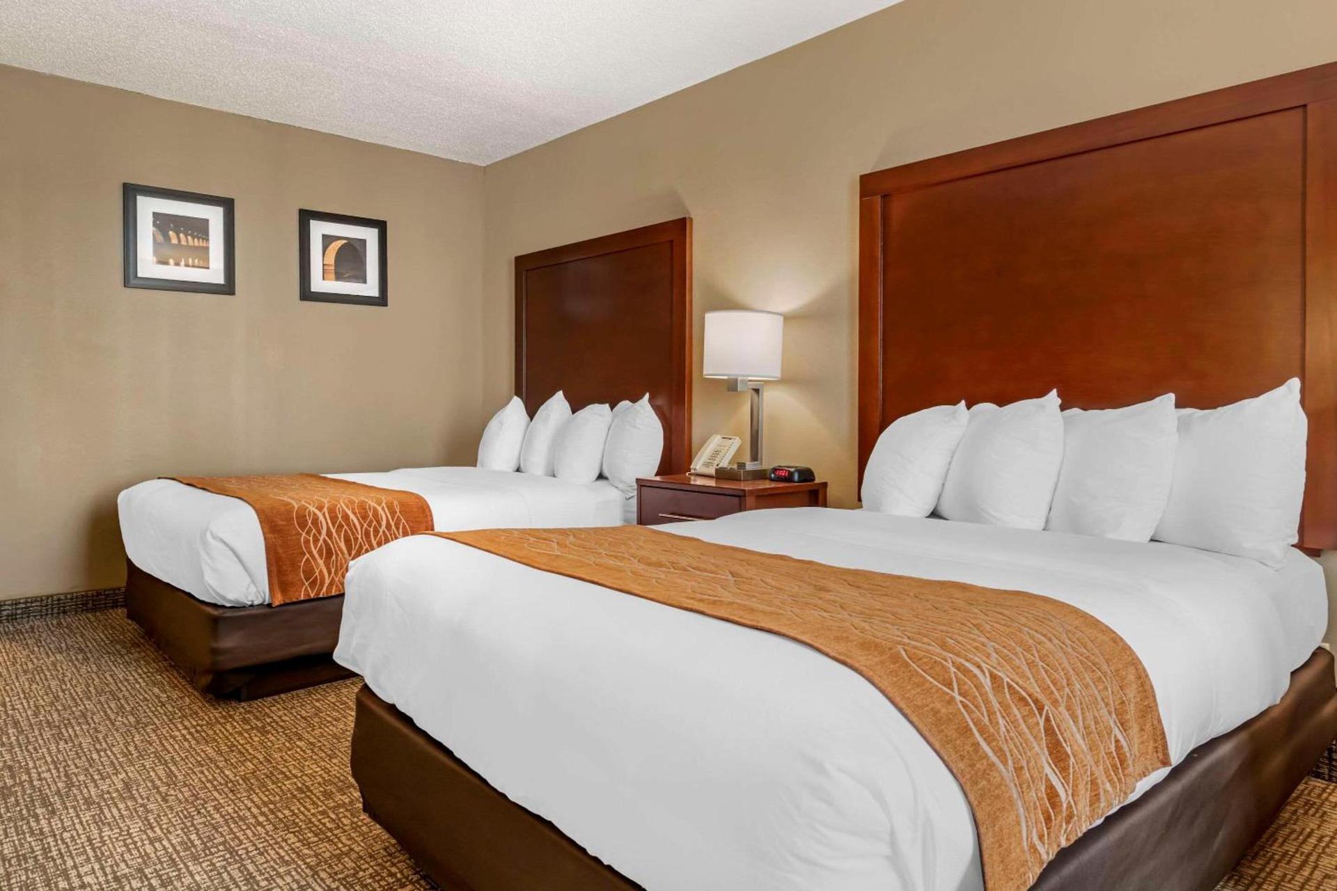 Comfort Inn MSP Airport - Mall of America photo 9