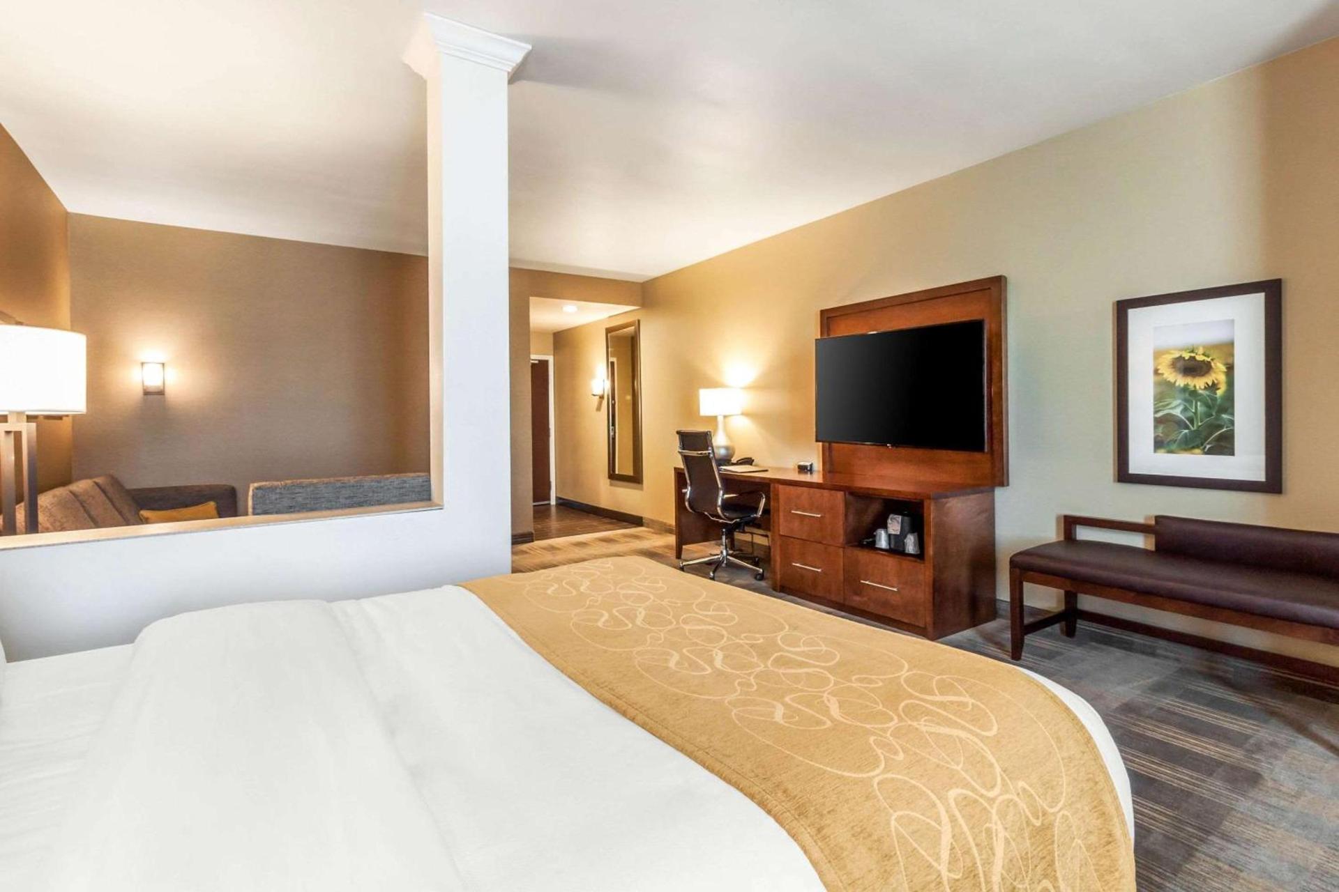 Comfort Suites University Brookings photo 26
