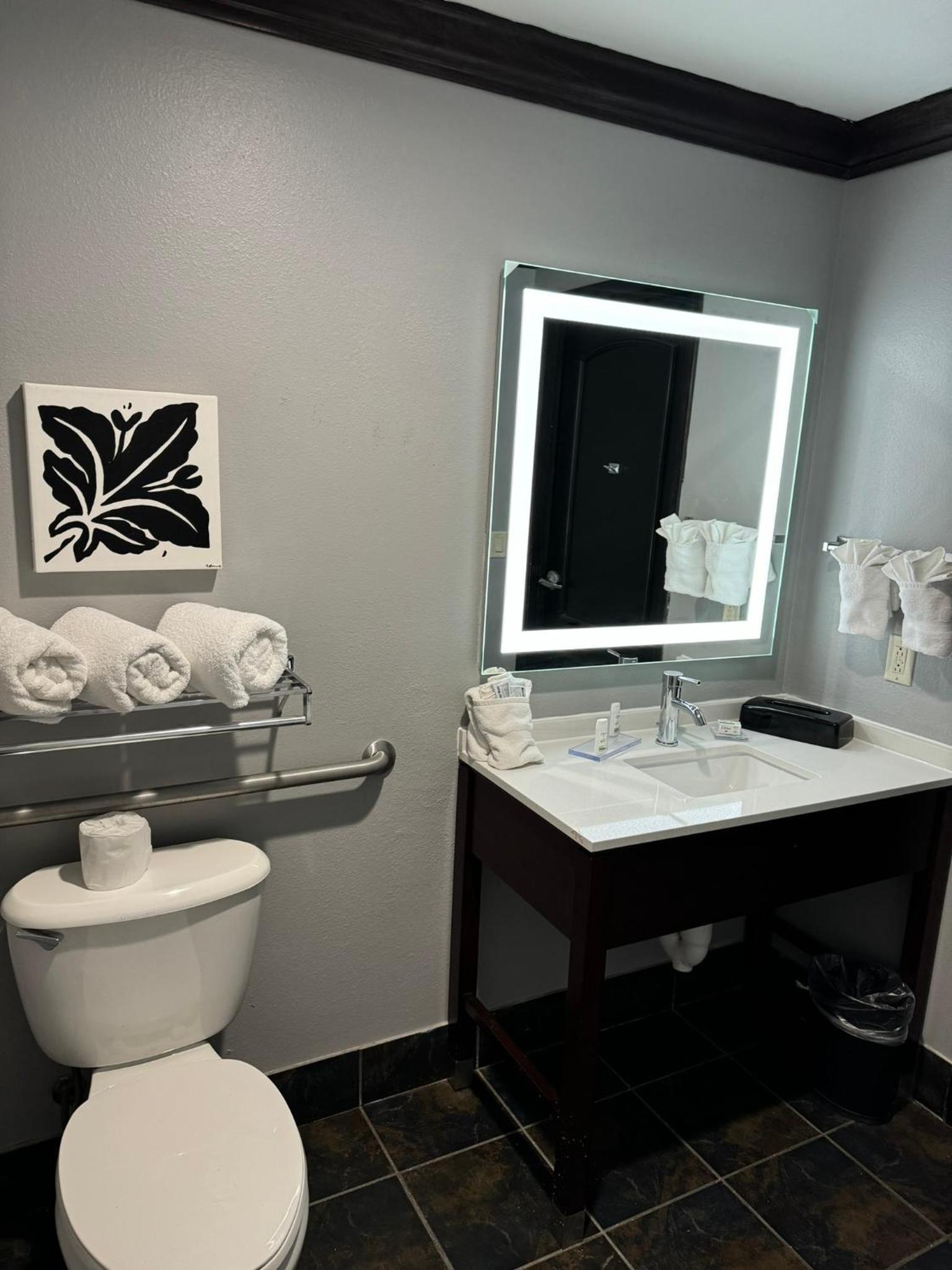 Hawthorn Suites by Wyndham Lubbock photo 11