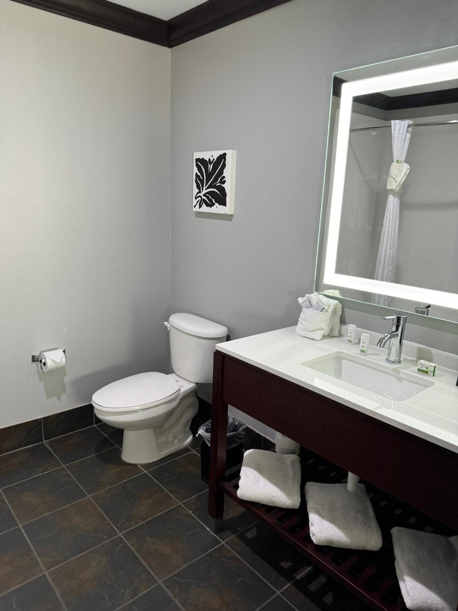 Hawthorn Suites by Wyndham Lubbock photo 41