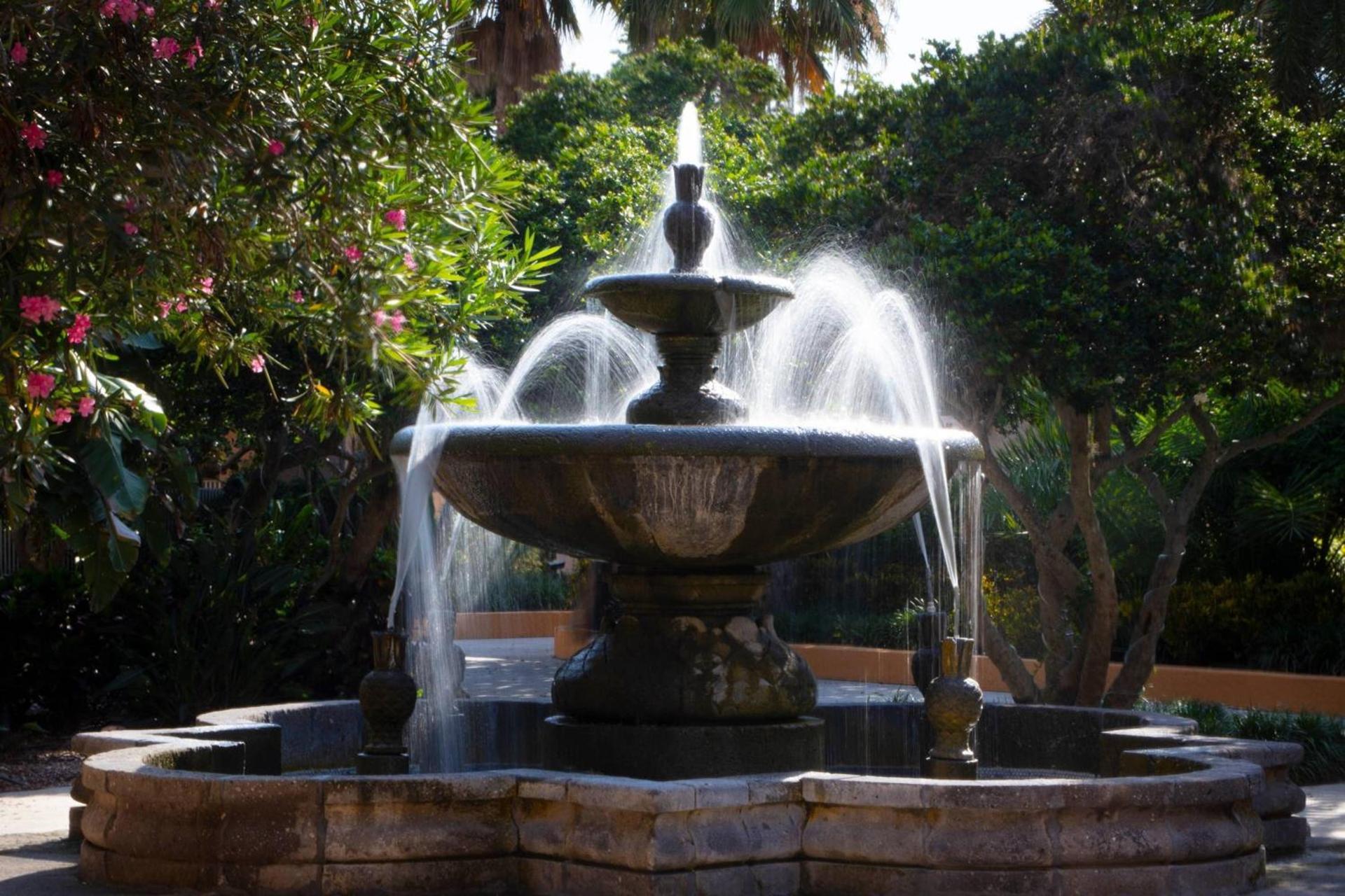 Courtyard by Marriott Bradenton Sarasota/Riverfront photo 5
