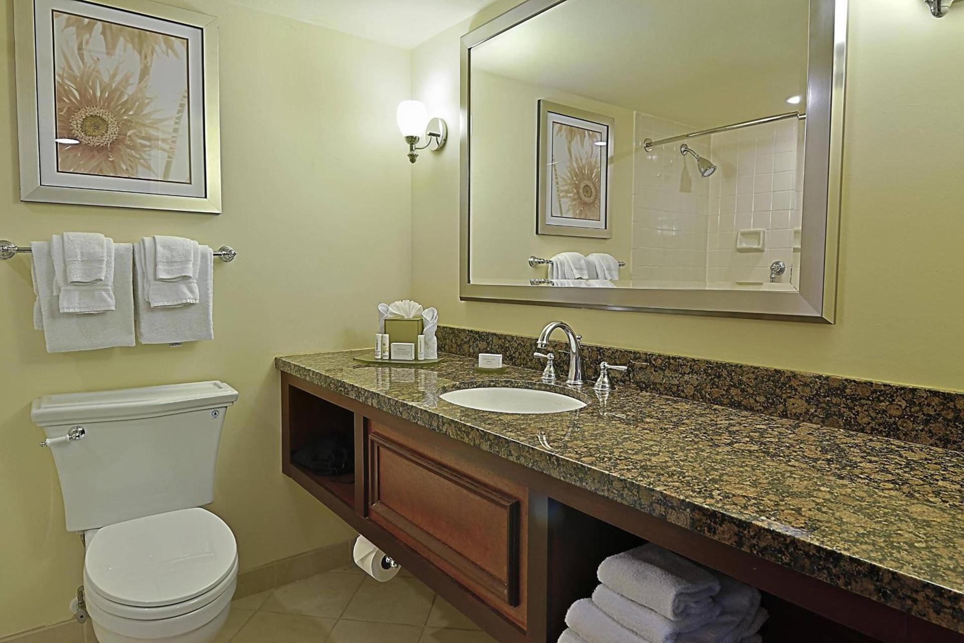Courtyard by Marriott Bradenton Sarasota/Riverfront photo 11