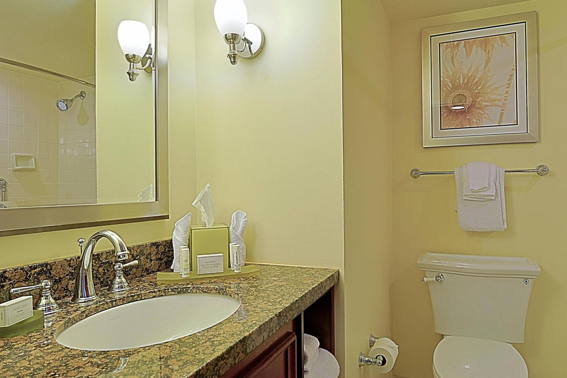 Courtyard by Marriott Bradenton Sarasota/Riverfront photo 12