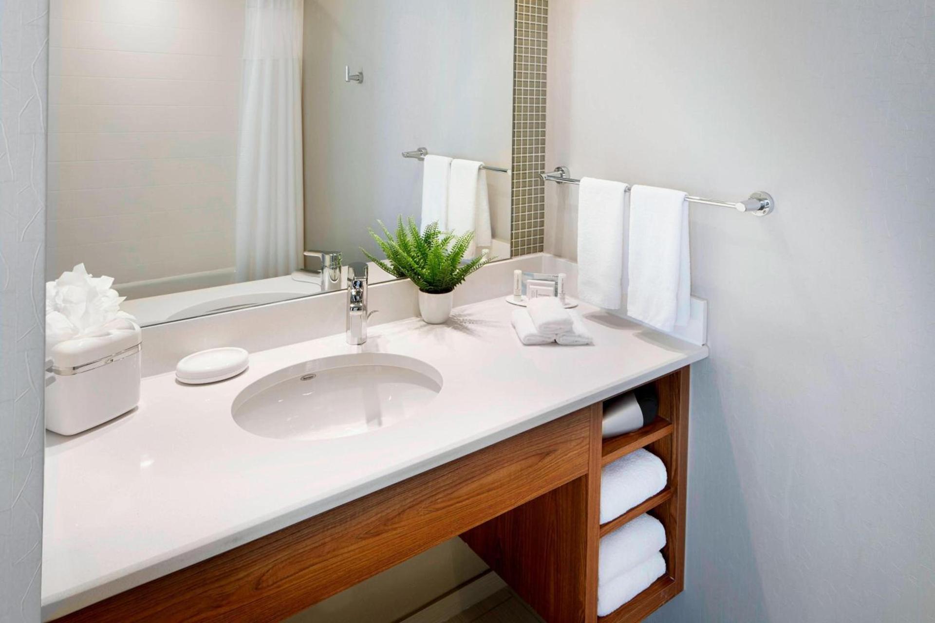 SpringHill Suites by Marriott Columbus OSU photo 12