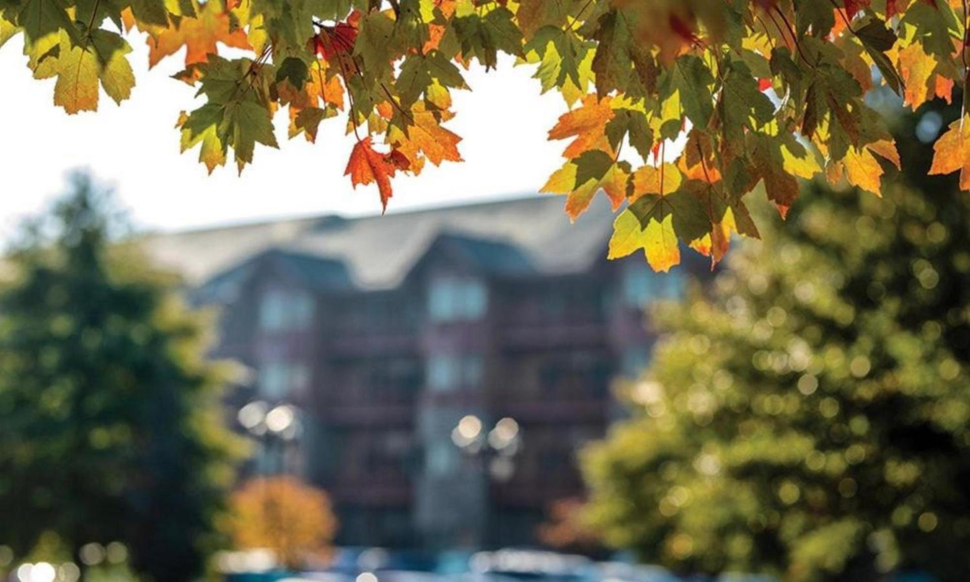 Great Smokies Lodge Sevierville by HelloVacay photo 43