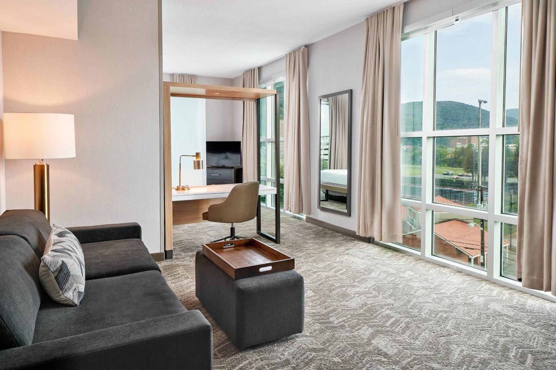 SpringHill Suites by Marriott Roanoke photo 8